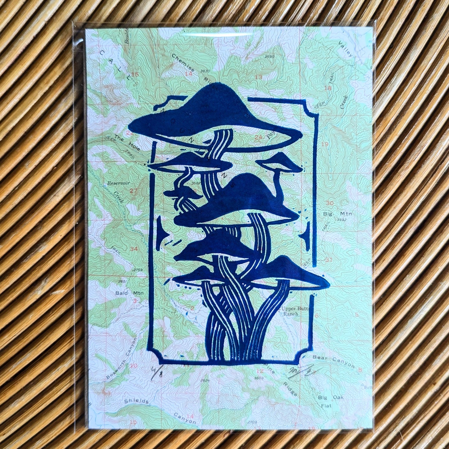 Mushrooms