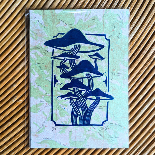 Mushrooms